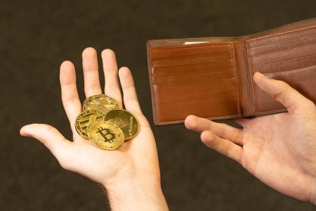 Hardware vs. Software Crypto Wallets: Pros and Cons