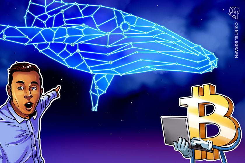 How to transfer  billion for basically free: Bitcoin whale watching