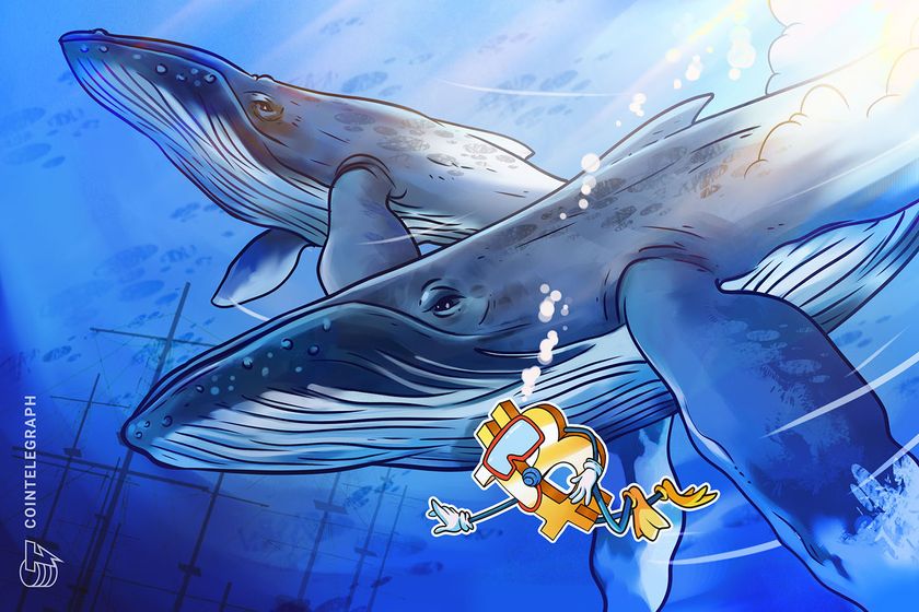 Bitcoin whales aim to reclaim K after BTC price dives over 3%