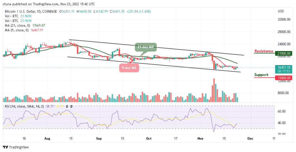 Bitcoin Price Prediction for Today, November 23: BTC/USD Begin to Show Bullish Signals