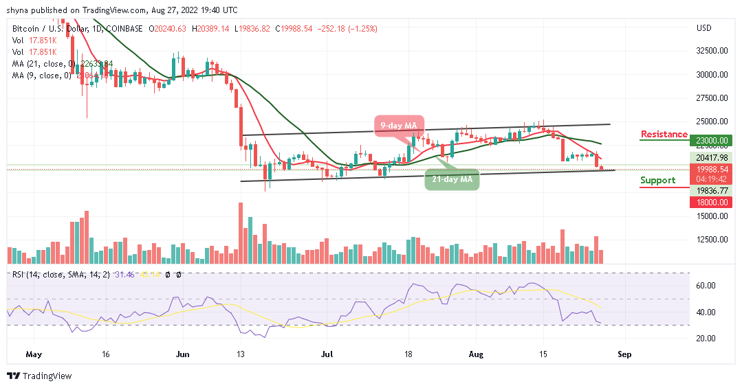 BTC Slumps Below ,000; TAMA Pushes Up