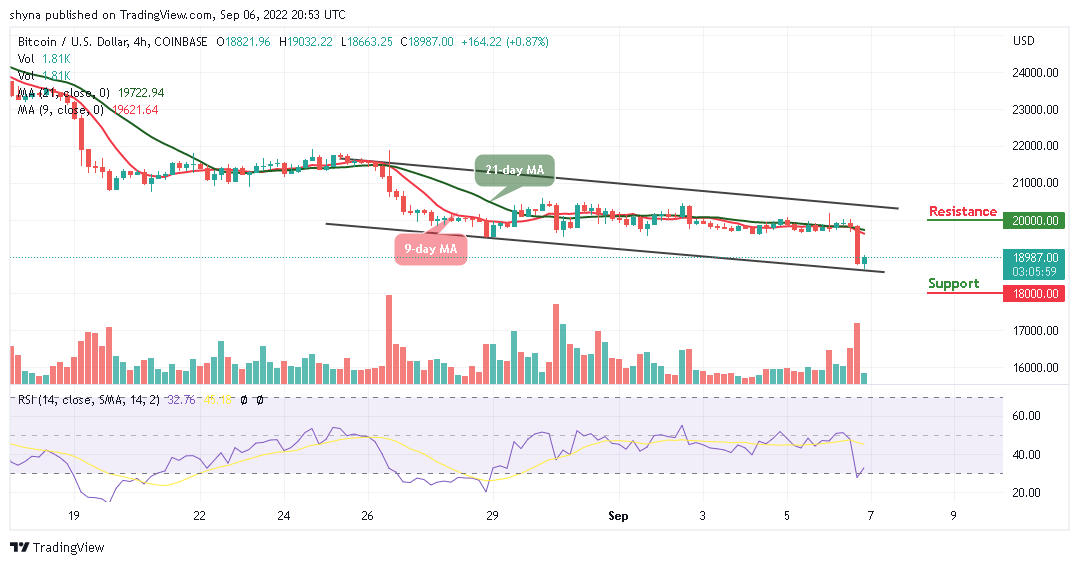 BTC Plummets Below ,000 as TAMA Explodes Skywards