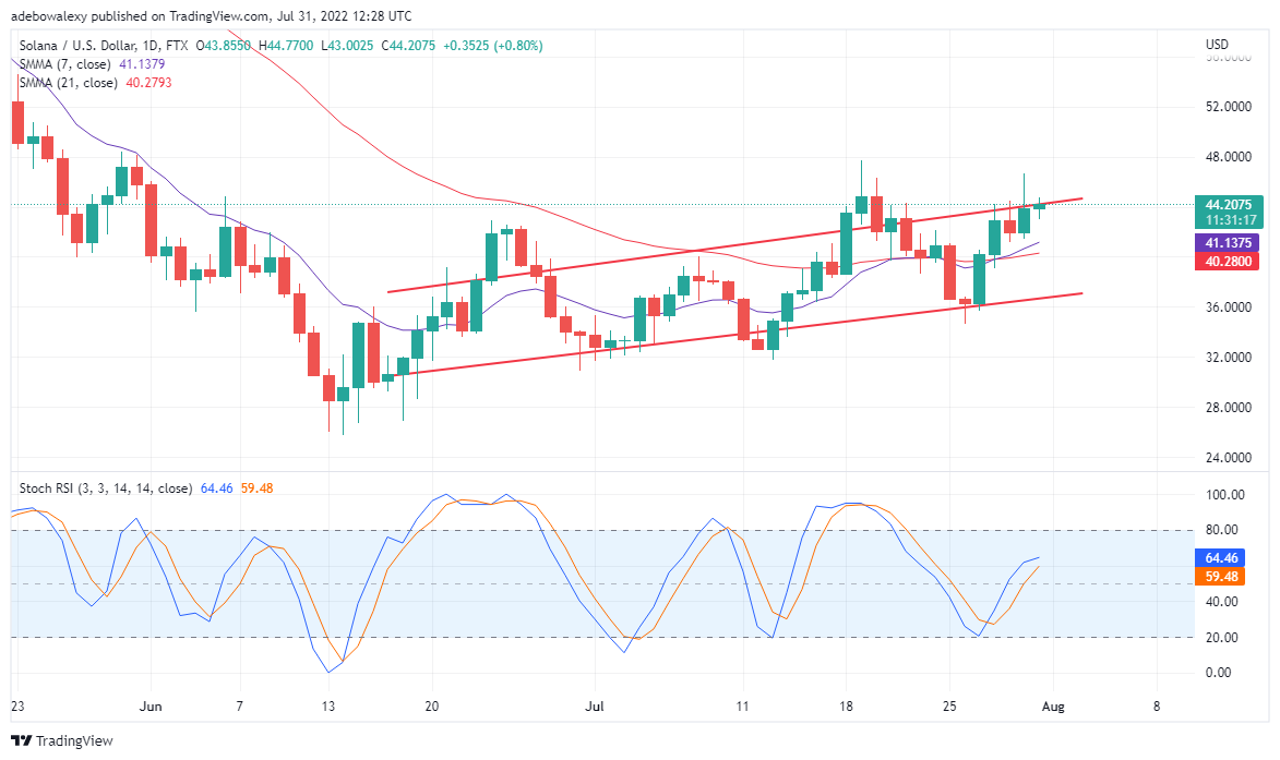 Solana Coin Value Forecast for August 1: SOL Displaying Minimal Gains